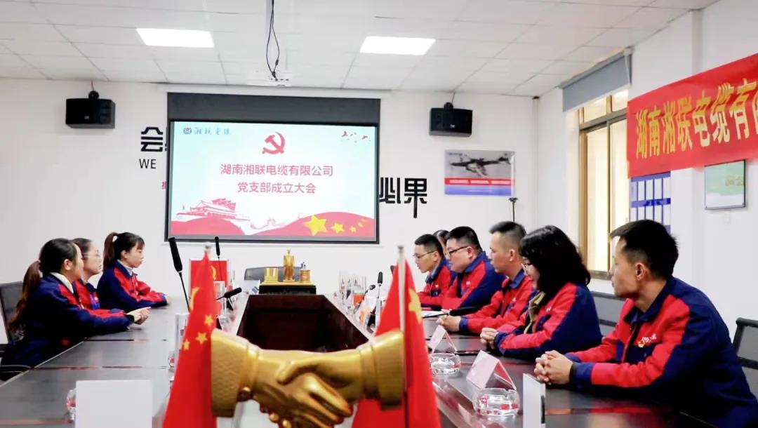 新征程 | 熱烈祝賀湖南湘聯(lián)電纜有限公司黨支部正式成立！