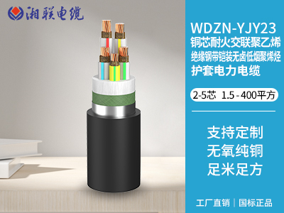 電纜接頭有哪些常見(jiàn)的故障類型？